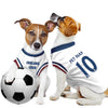 England 2026 Home Dog World Cup Kit & Jersey Pet Version