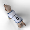 England 2026 Home Dog World Cup Kit & Jersey Pet Version