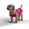Liverpool 2026 Home Dog Premier League Kit & Jersey Pet